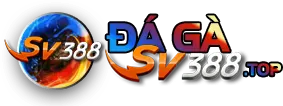 Logo Dagasv388.top